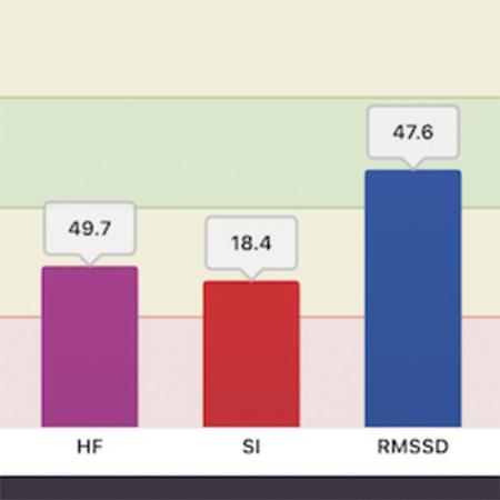 VNS-Analyse